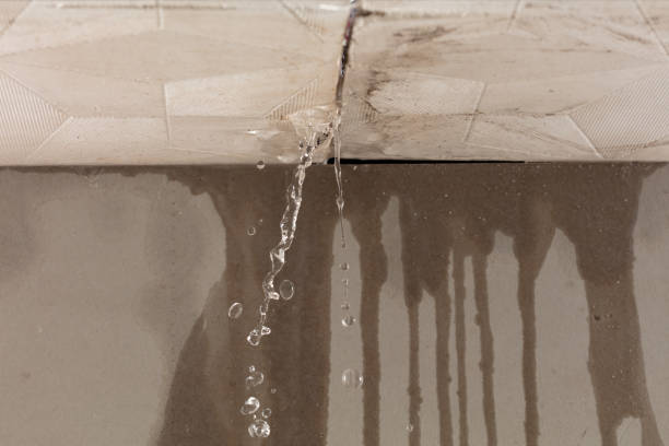 Professional Sewage Cleanup technician working in Delano, MN